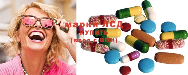 гидра Горняк