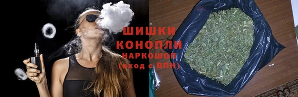 PSILOCYBIN Вяземский