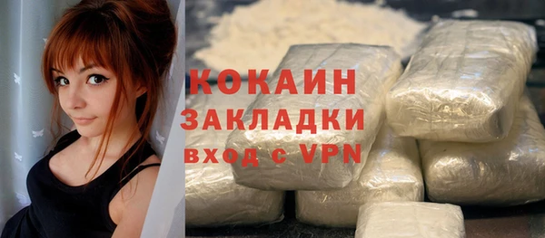 гидра Горняк