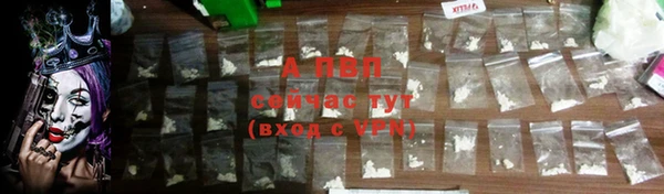 PSILOCYBIN Вяземский