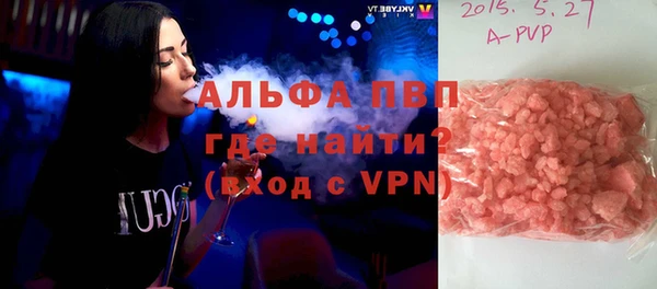 PSILOCYBIN Вяземский