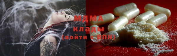 гидра Горняк