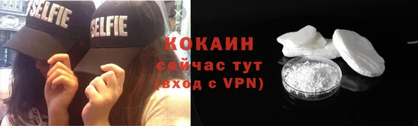 PSILOCYBIN Вяземский