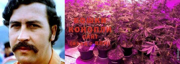 MESCALINE Горнозаводск