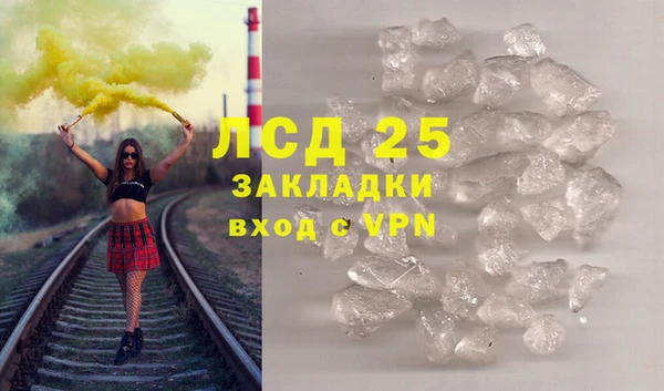 гидра Горняк